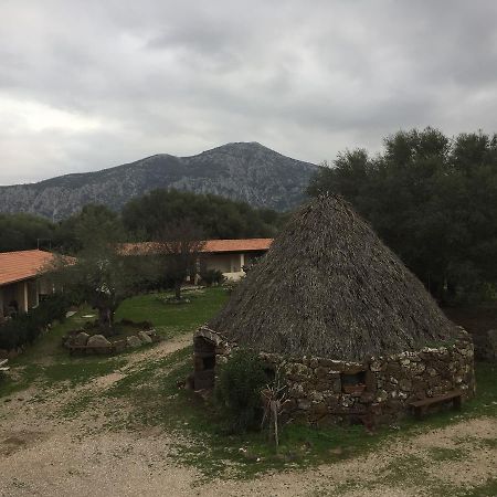 Turismo Rurale Su Cuile Villa Dorgali Exterior foto