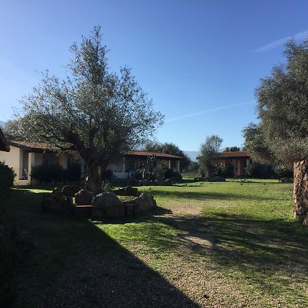 Turismo Rurale Su Cuile Villa Dorgali Exterior foto