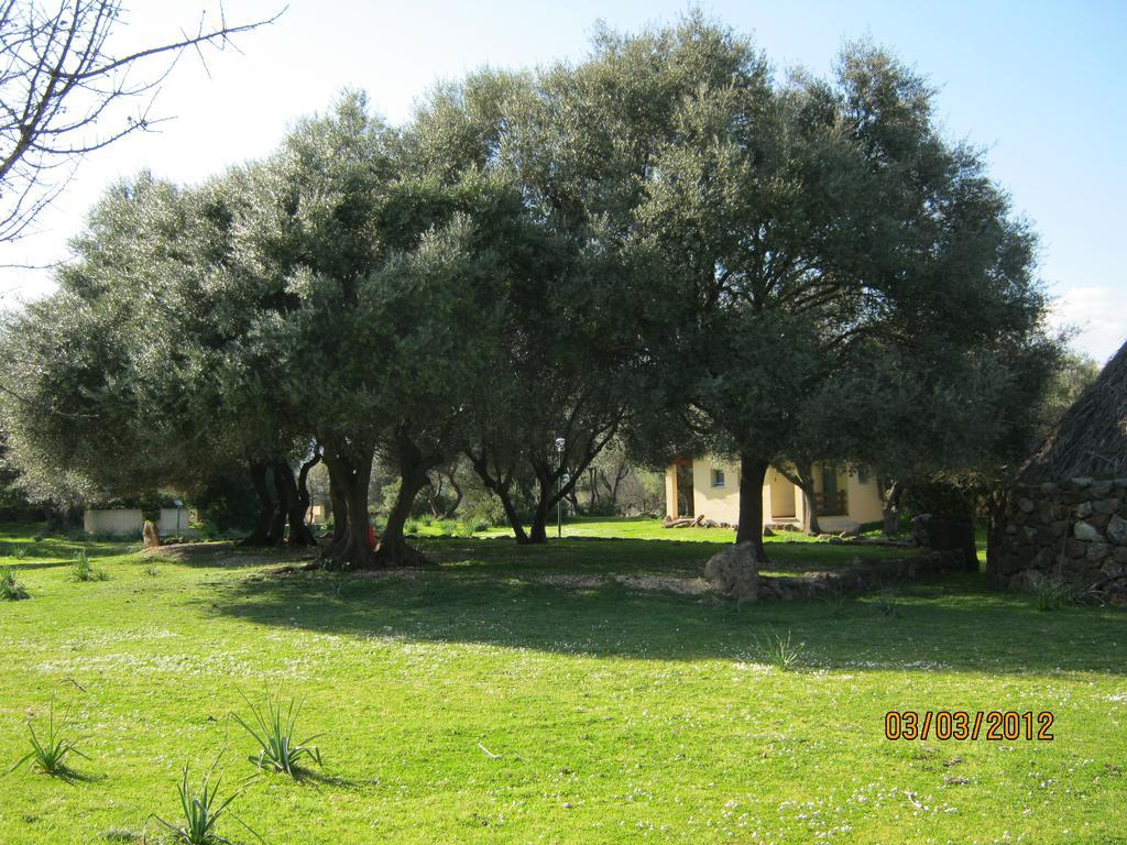 Turismo Rurale Su Cuile Villa Dorgali Exterior foto