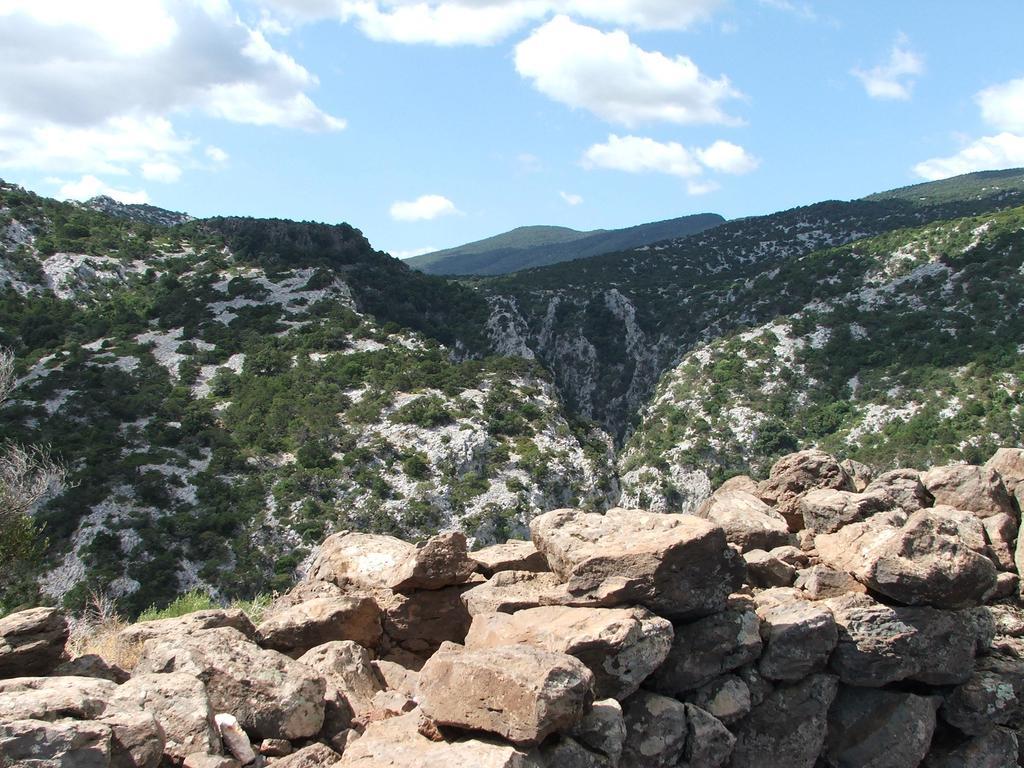 Turismo Rurale Su Cuile Villa Dorgali Exterior foto