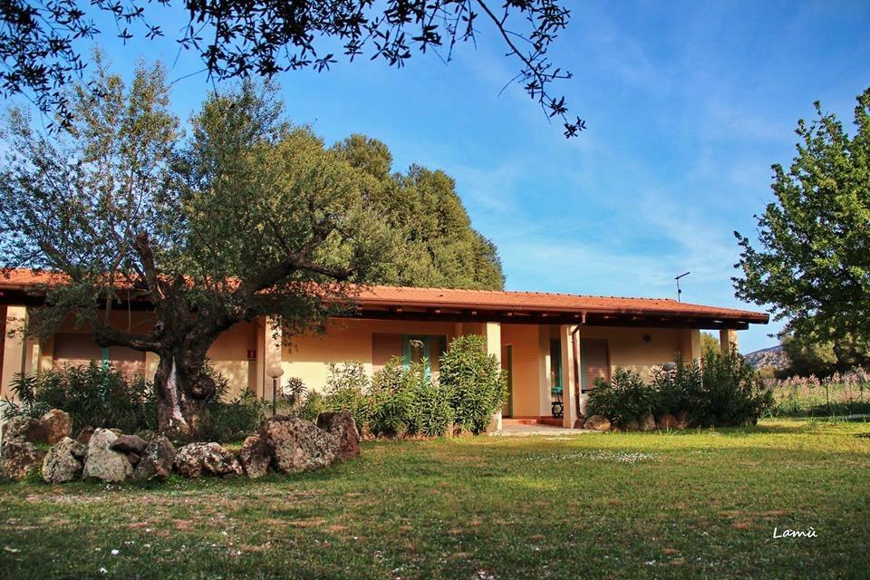 Turismo Rurale Su Cuile Villa Dorgali Exterior foto