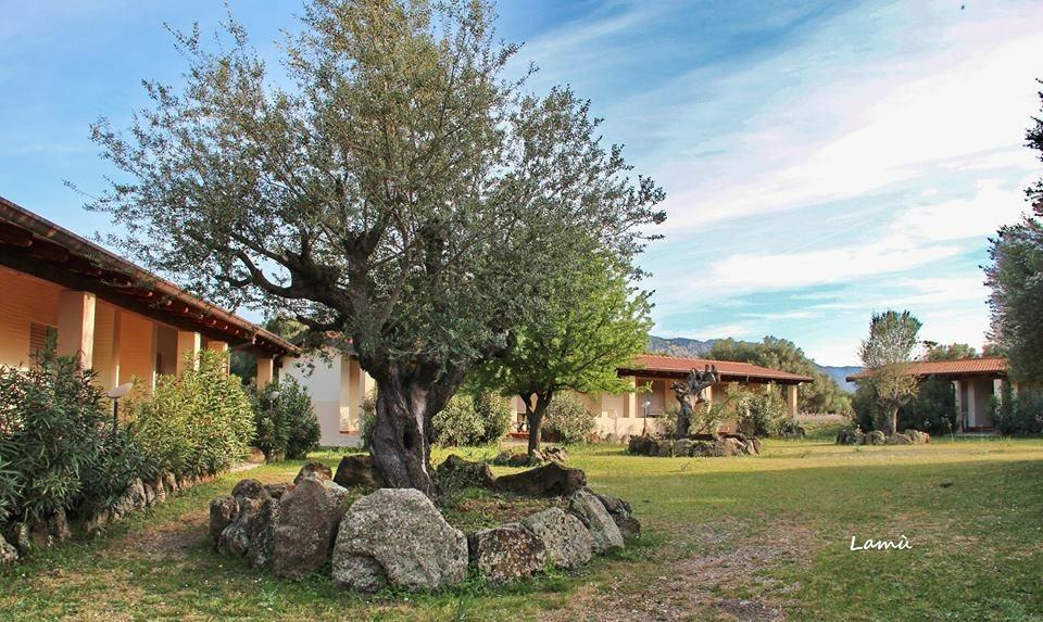Turismo Rurale Su Cuile Villa Dorgali Exterior foto